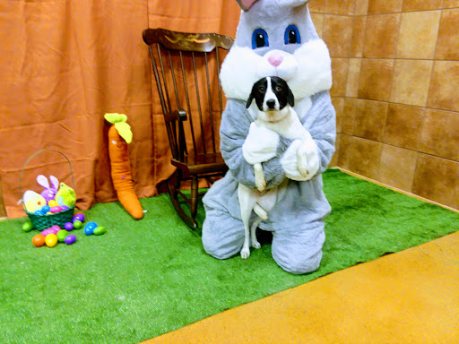 Pet Supply Store «PetSmart», reviews and photos, 5241 Monroe St, Toledo, OH 43623, USA