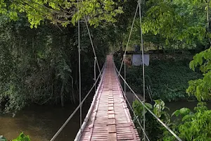 Mysore Hanging Bridge image