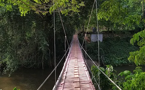 Mysore Hanging Bridge image