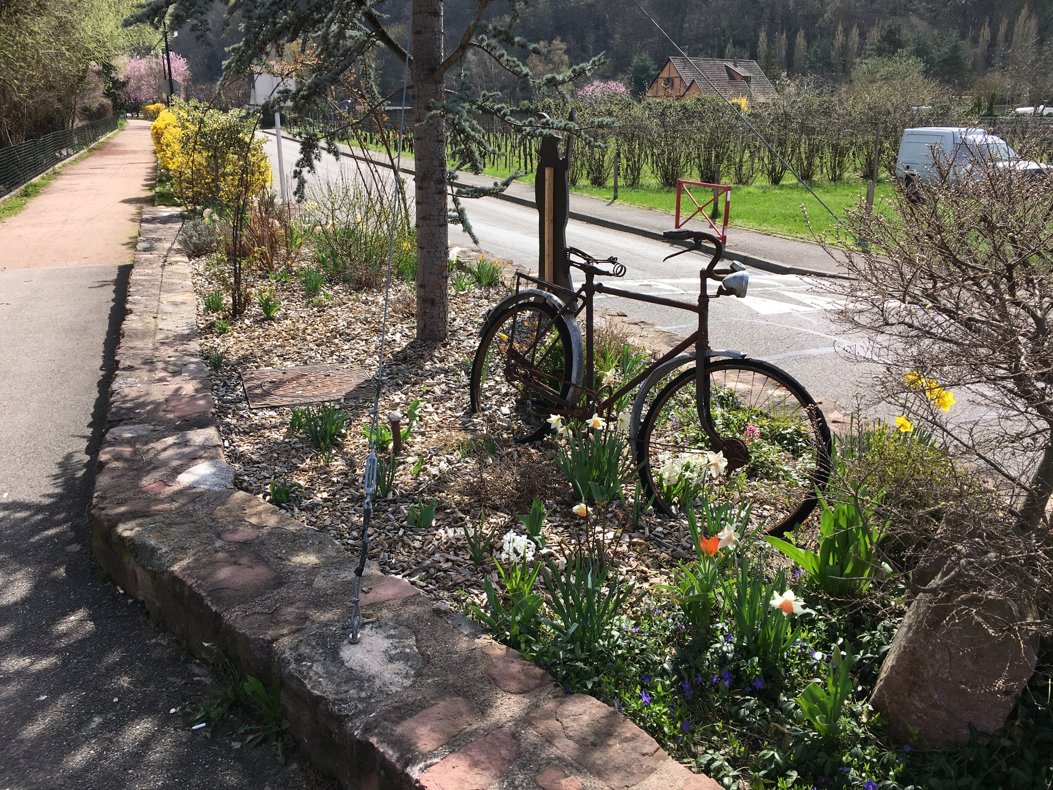 Photo n° 9 de l'avis de Roland.a fait le 08/04/2018 à 15:17