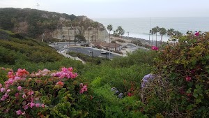 Calafia Beach Park - photo 47