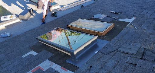 Roof Pro image