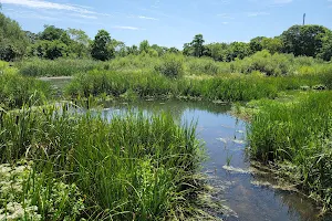Swan River Preserve image