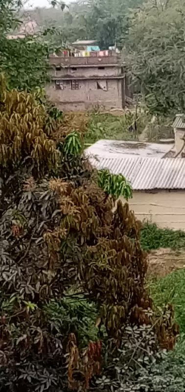 नुर मेंजिल कुशहर