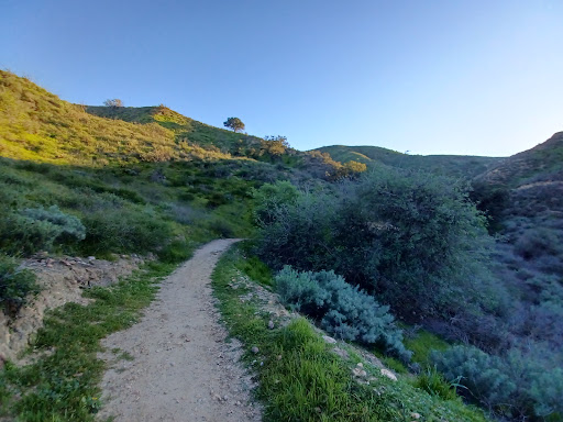 Coyote Park Trailhead