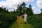 Best Harp Lessons Glasgow Near You
