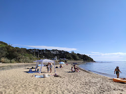 Zdjęcie Mills Beach z poziomem czystości wysoki