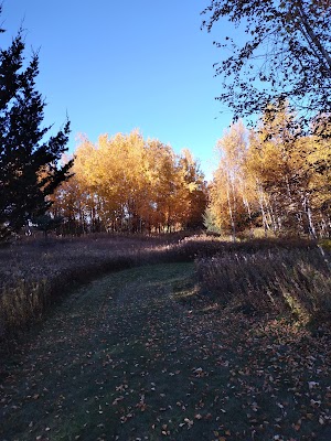 Woodland Trails Park - photo 19