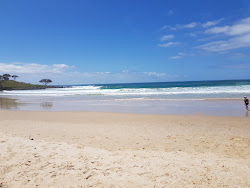 Foto von Angourie Back Beach mit reines blaues Oberfläche