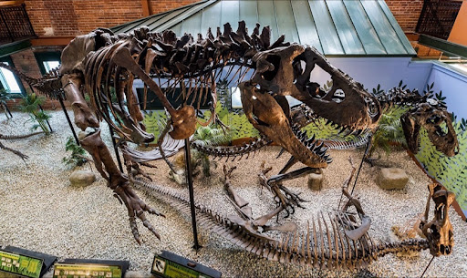 Museum «Museum of World Treasures», reviews and photos, 835 E 1st St N, Wichita, KS 67202, USA