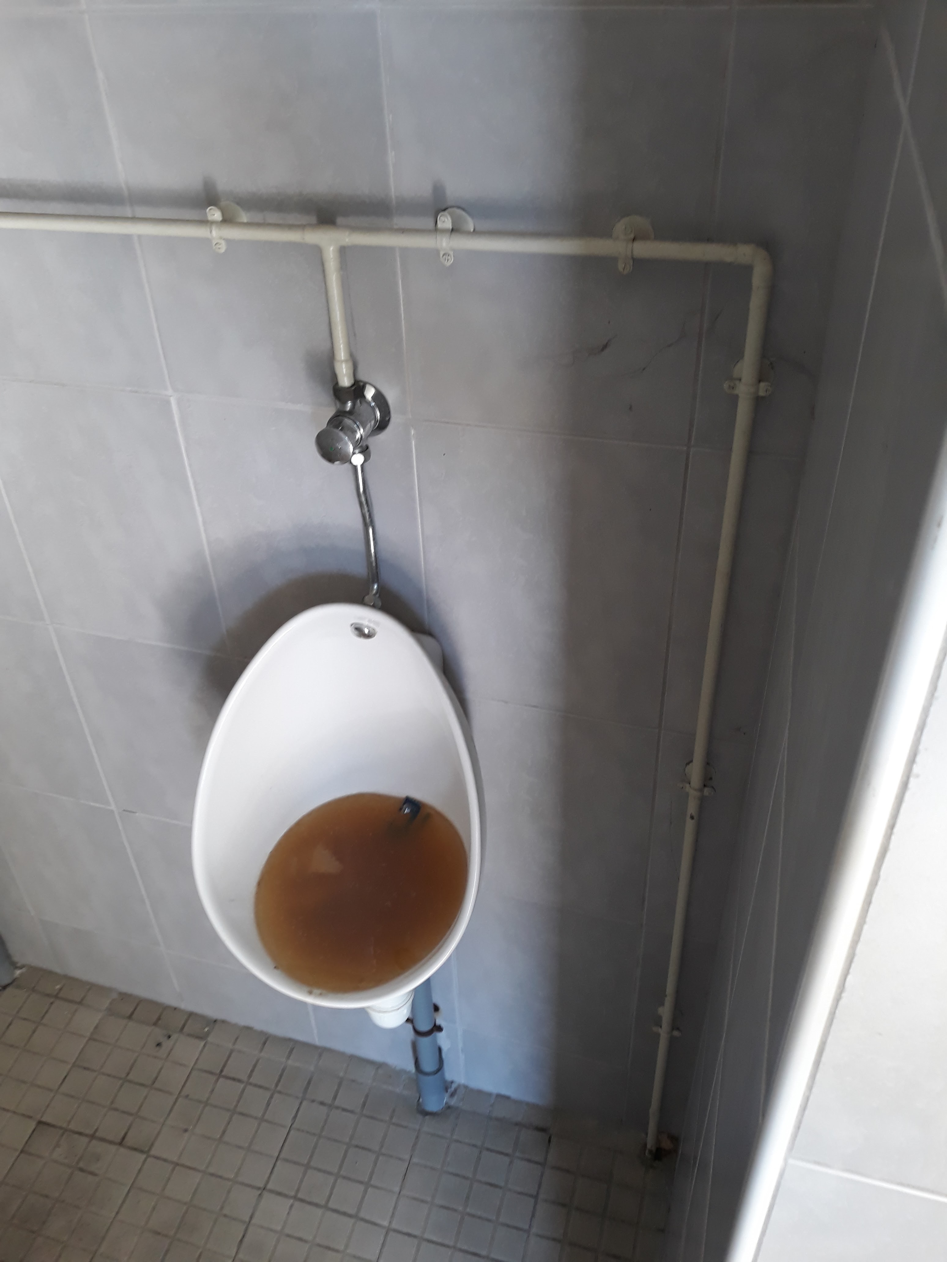 Photo n° 1 de l'avis de Emil.a fait le 07/04/2019 à 14:55