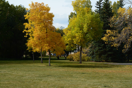 Canmore Park Outdoor Wading