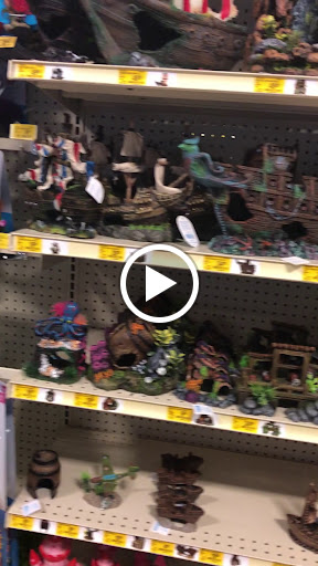 Pet Supply Store «PetSmart», reviews and photos, 6060 Long Prairie Rd, Flower Mound, TX 75028, USA