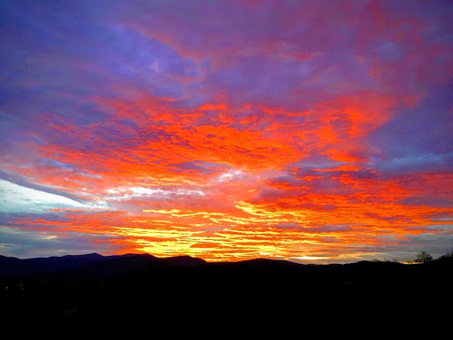 Winery «Little Washington Winery», reviews and photos, 72 Christmas Tree Ln, Washington, VA 22747, USA