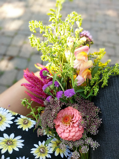 Tourist Attraction «Woodstock Square Historic District», reviews and photos, 205 W Todd Ave, Woodstock, IL 60098, USA