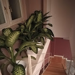 Photo n°1 de l'avis de liana.i fait le 11/06/2019 à 14:42 sur le  Residenza Cavour à Acireale