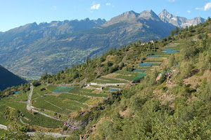 Steiner Weine, Inh. Erika Steiner-Stoffel