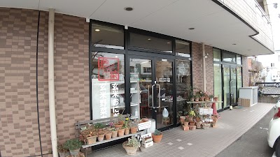 ナトゥーラ