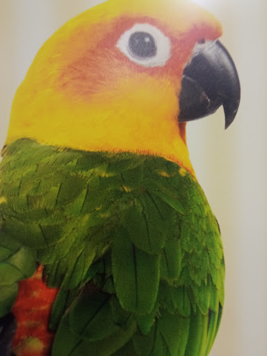 Pet Supply Store «PetSmart», reviews and photos, 2458 Central Park Ave, Yonkers, NY 10710, USA