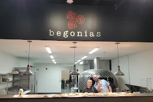Begonias image