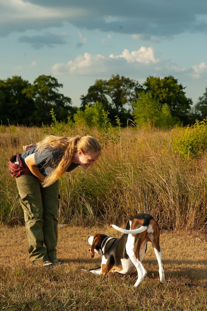 Blue Skies Pet Care - Wichita Dog Training