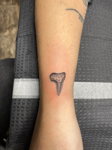 Explore cute mushroom tattoo ideas, creative tattoo ideas in Charleston, available at The Edge Tattoo Studio