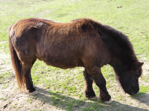Orchard «Barton Orchards - Noxon Road Store Open Year Round - The Farm is CLOSED for the Season.», reviews and photos, 63 Apple Tree Ln, Poughquag, NY 12570, USA