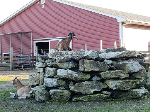 Orchard «Barton Orchards - Noxon Road Store Open Year Round - The Farm is CLOSED for the Season.», reviews and photos, 63 Apple Tree Ln, Poughquag, NY 12570, USA