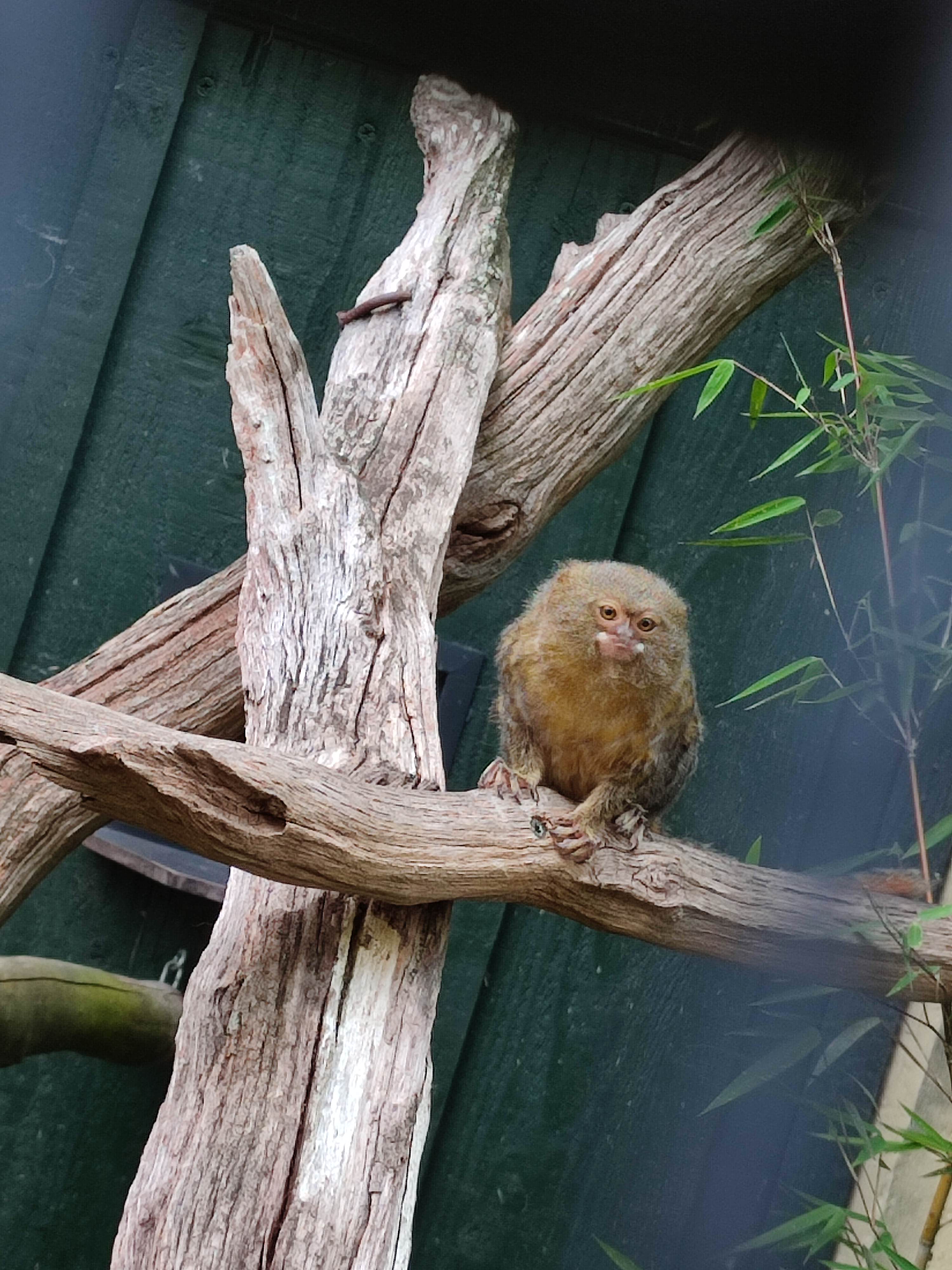 Photo n° 4 de l'avis de Charline.o fait le 26/06/2023 à 19:57