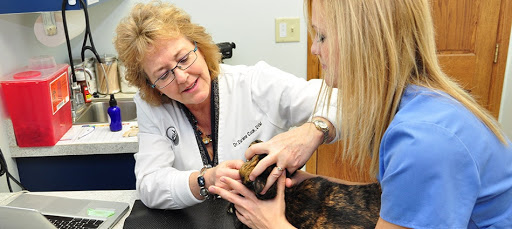 The Bluffs Pet Clinic image