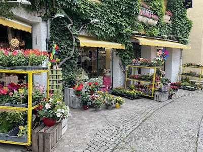 Le Tournesol à Allevard