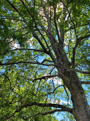 Historical Place «Saratoga National Historical Park», reviews and photos, 648 NY-32, Stillwater, NY 12170, USA