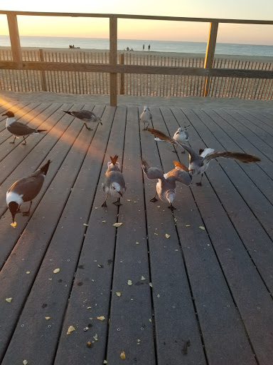 Miniature Golf Course «Lighthouse Point Miniature Golf Club», reviews and photos, 801 Boardwalk, Point Pleasant Beach, NJ 08742, USA
