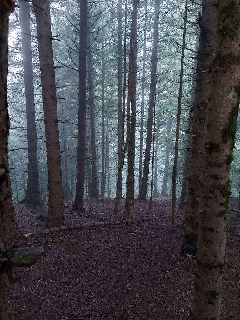 13/25