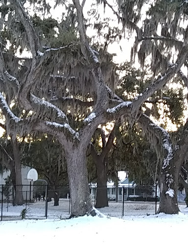 Park «Live Oaks Park», reviews and photos, 904 14th St, Port Royal, SC 29935, USA