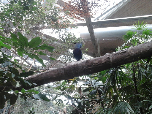 Gift Shop «Minnesota Zoo Gift Shop», reviews and photos, 13000 Zoo Blvd, Apple Valley, MN 55124, USA