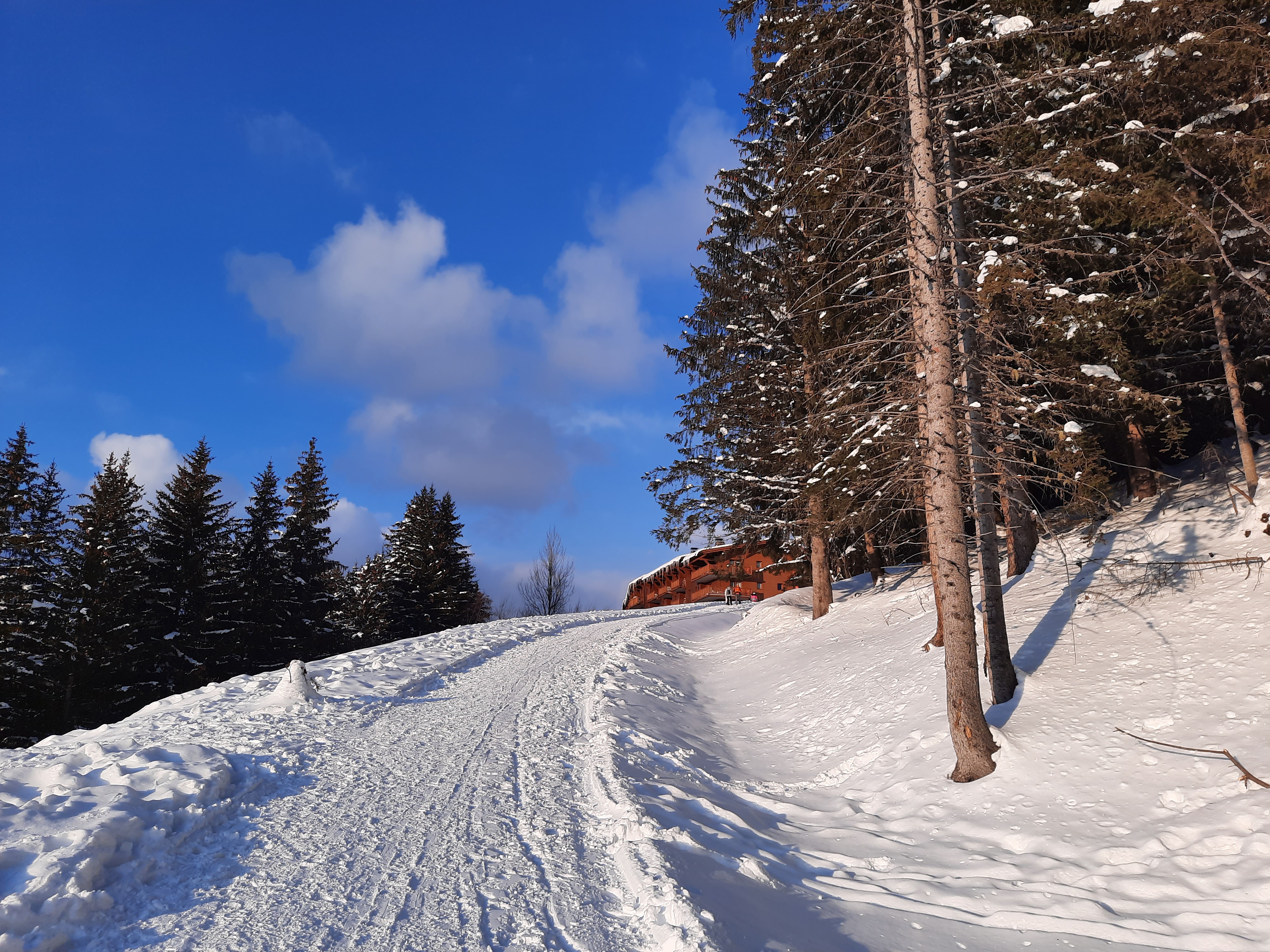 Photo n° 8 de l'avis de ARNAUD.A fait le 25/03/2021 à 08:48