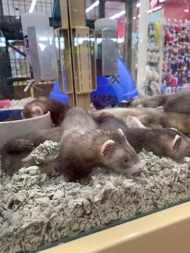 Pet Supply Store «Pet Supermarket, Inc.», reviews and photos, 598 N McCarran Blvd, Sparks, NV 89431, USA