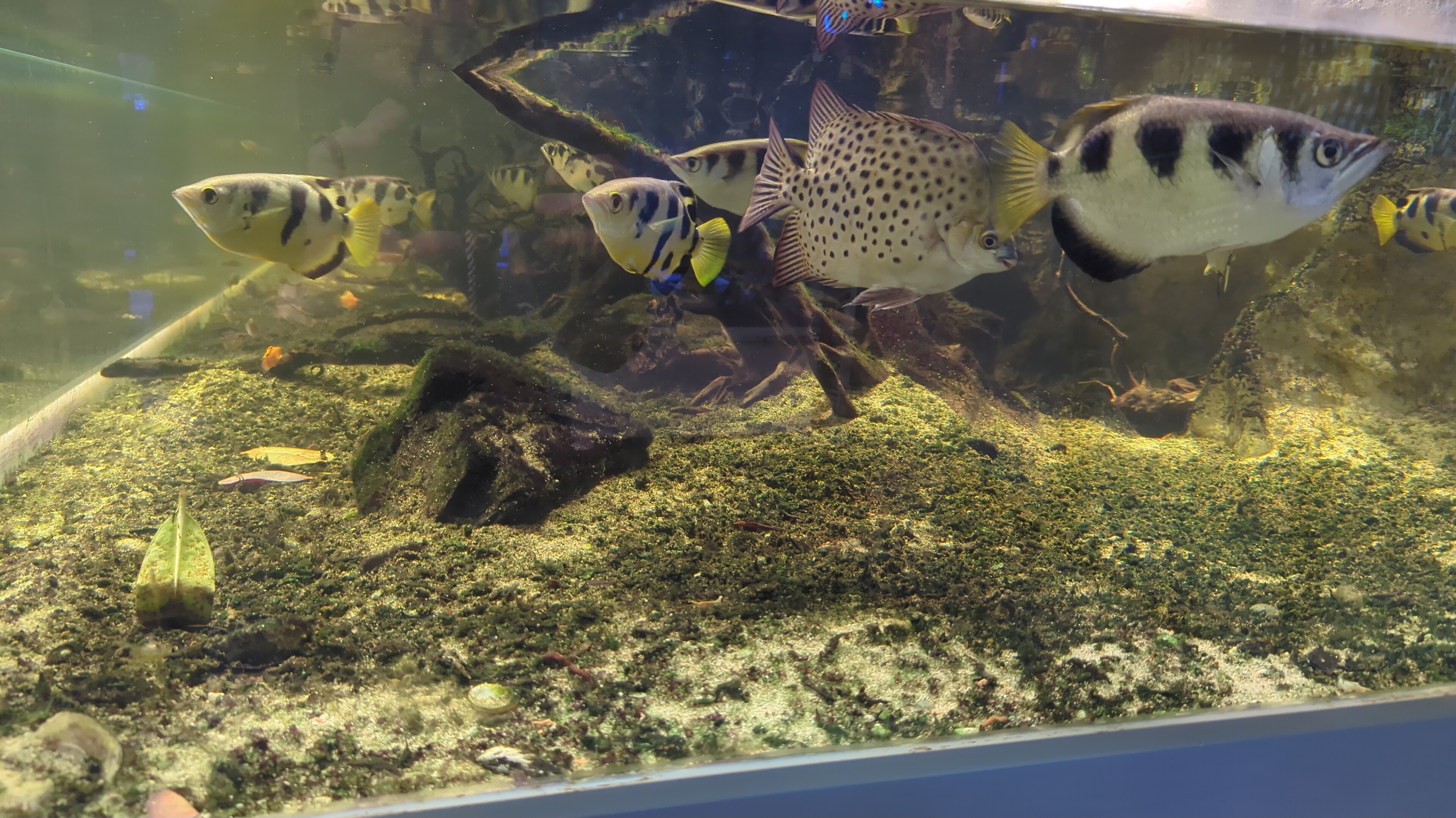 Photo n° 1 de l'avis de Bénédicte.i fait le 09/04/2024 à 13:25