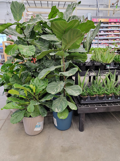 Department Store «Walmart Supercenter», reviews and photos, 121 Peter Pan Rd, Independence, KS 67301, USA