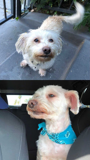 Kennel «K9 Loft», reviews and photos, 495 S Arroyo Pkwy, Pasadena, CA 91105, USA