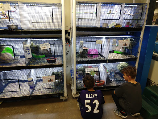 Pet Supply Store «Pickering Valley Feed & Farm Store», reviews and photos, 305 Gordon Dr, Exton, PA 19341, USA