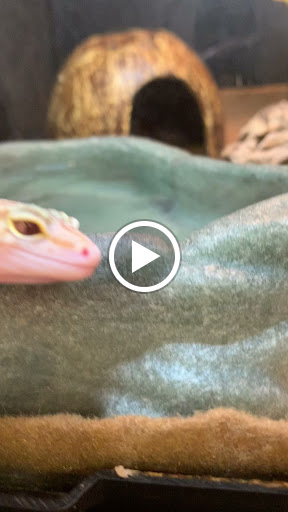 Pet Supply Store «PetSmart», reviews and photos, 20530 E 13 Mile Rd, Roseville, MI 48066, USA