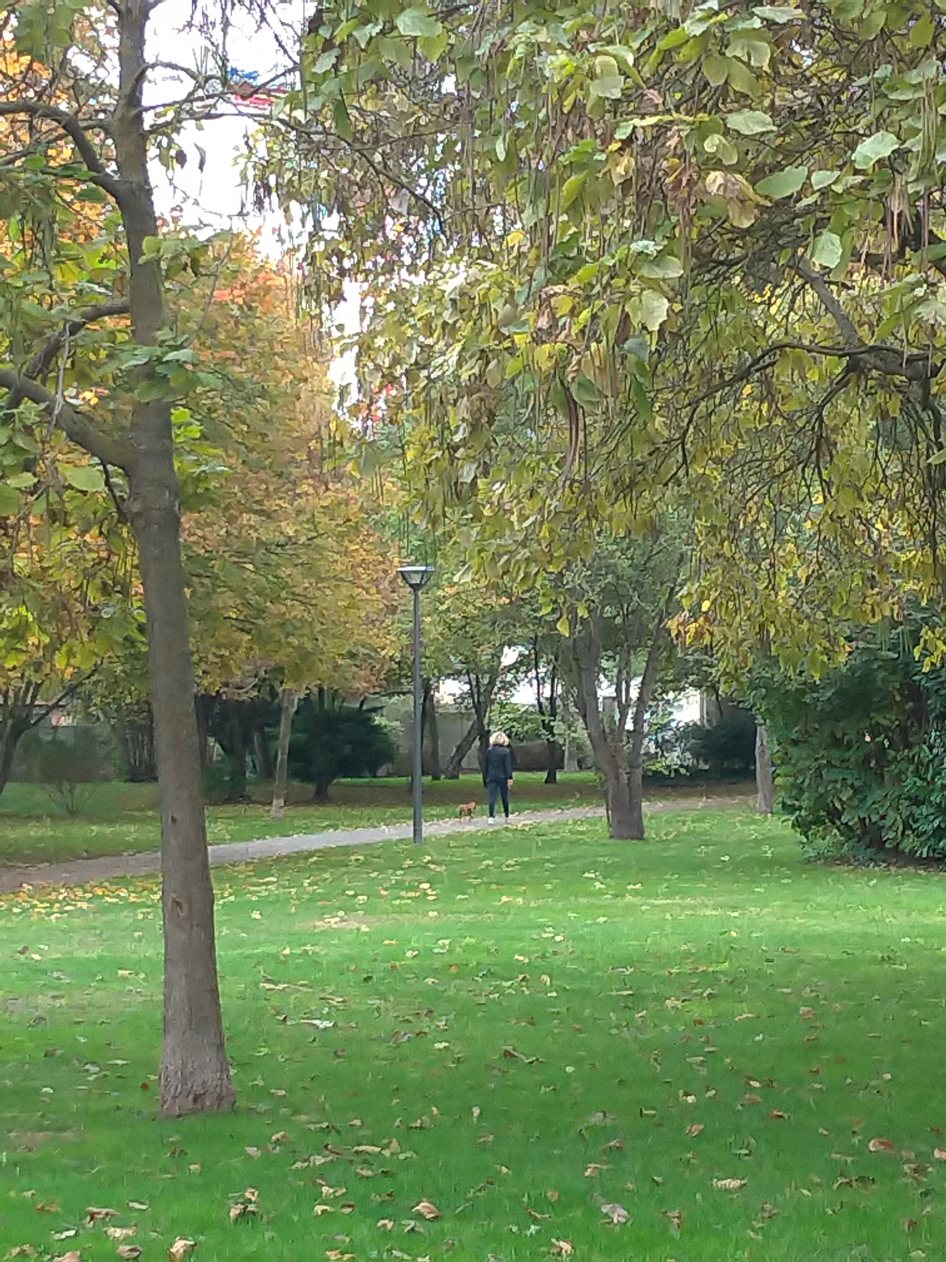 Photo n° 3 de l'avis de Benjamin.e fait le 22/10/2020 à 20:16
