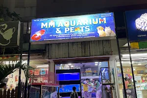 M.M.Aquarium image