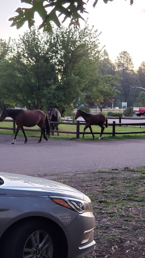 Computer Repair Service «ABCD Computers Home Service-17yrs in las Vegas», reviews and photos, 6625 Navio Dr, Las Vegas, NV 89103, USA