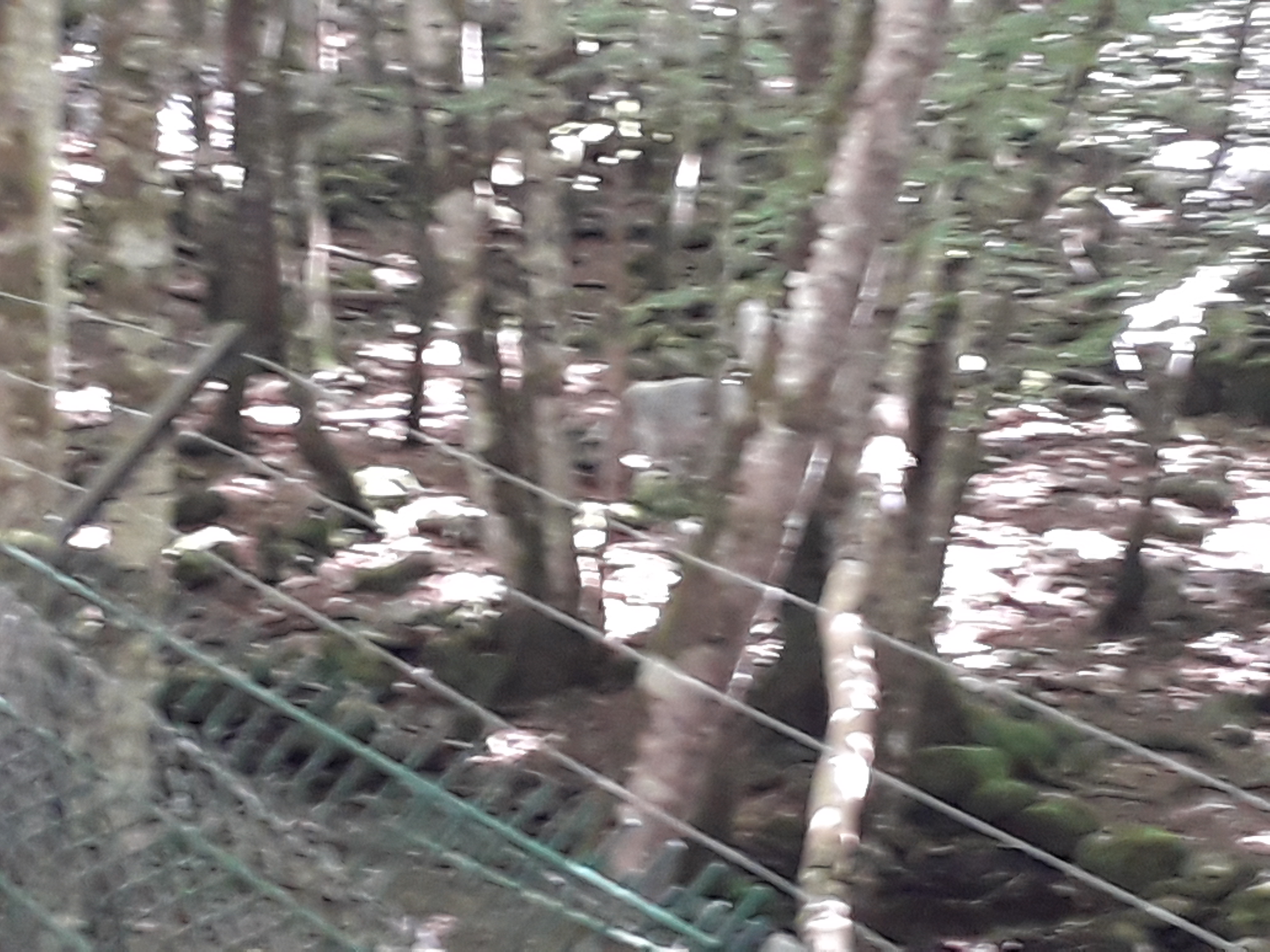 Photo n° 8 de l'avis de Franck.i fait le 19/07/2020 à 15:45