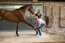 Dierenartsenpraktijk Groot en Klein, Jonas Soenens & Janne Dewulf