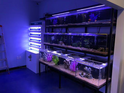 Aquarium «Artistic Aquariums, Inc», reviews and photos, 3400 N Arizona Ave #111, Chandler, AZ 85225, USA