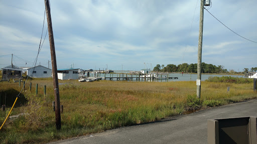 Tourist Attraction «Smith Island Cultural Center», reviews and photos, 20846 Caleb Jones Rd, Ewell, MD 21824, USA